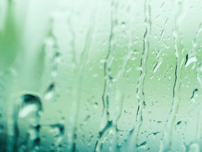 Fragility Confusion from&nbsp;CPTSD