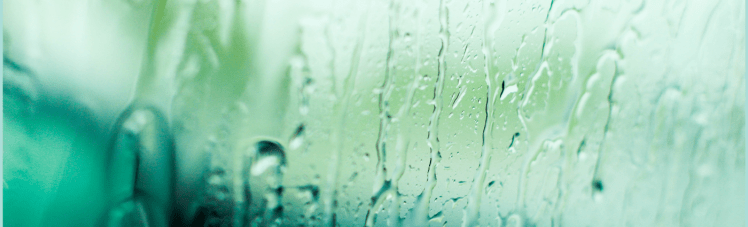 Fragility Confusion from&nbsp;CPTSD