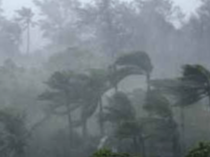 Third Culture Missionary Kids: A Life in Monsoonal Reigning Faith&nbsp;Storms