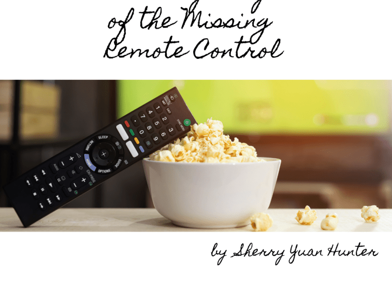 If I Were a&nbsp;Remote…